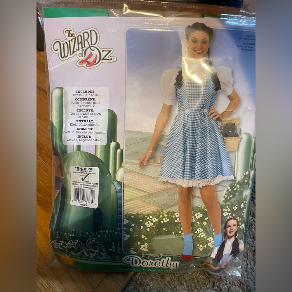 Teen Dorothy costume